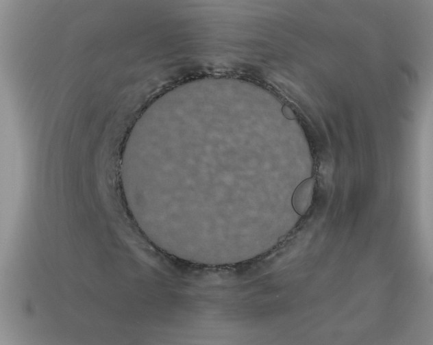 X0000113610865200910091540