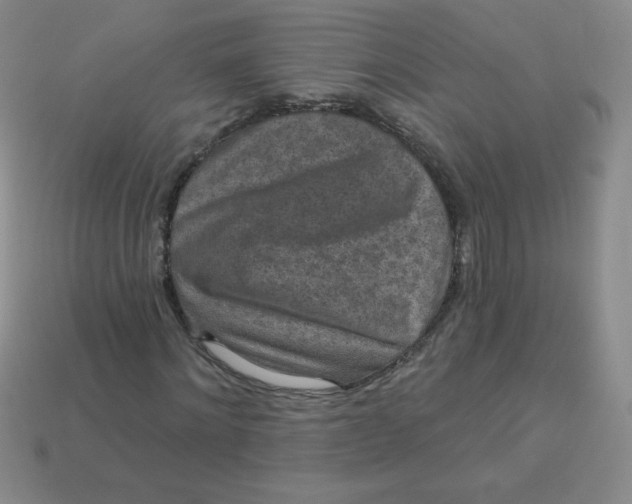 X0000113610868200910091540