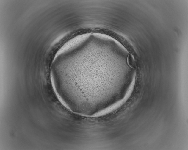 X0000113610871200910091540