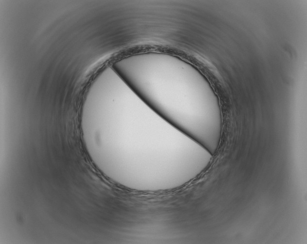 X0000113610872200910091539