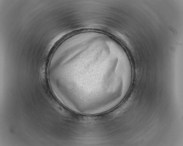 X0000113610875200910091539