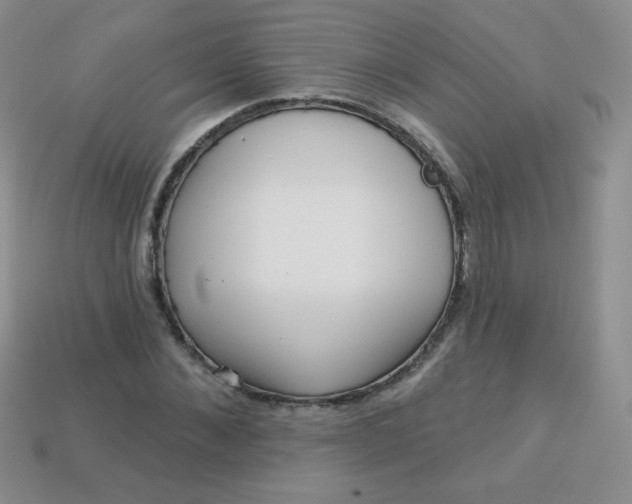 X0000113610876200910091539