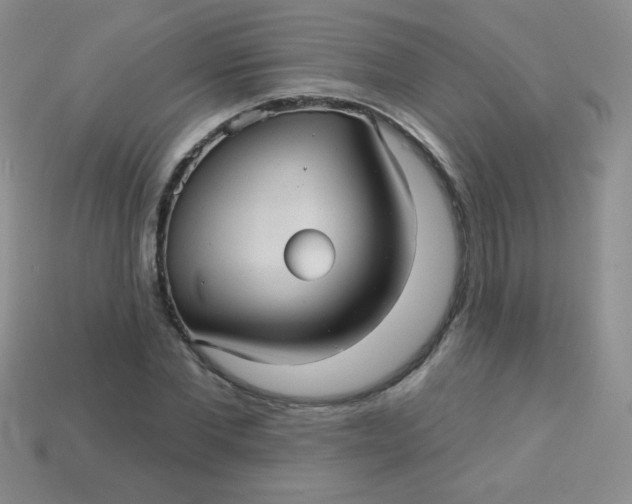 X0000113610877200910091539