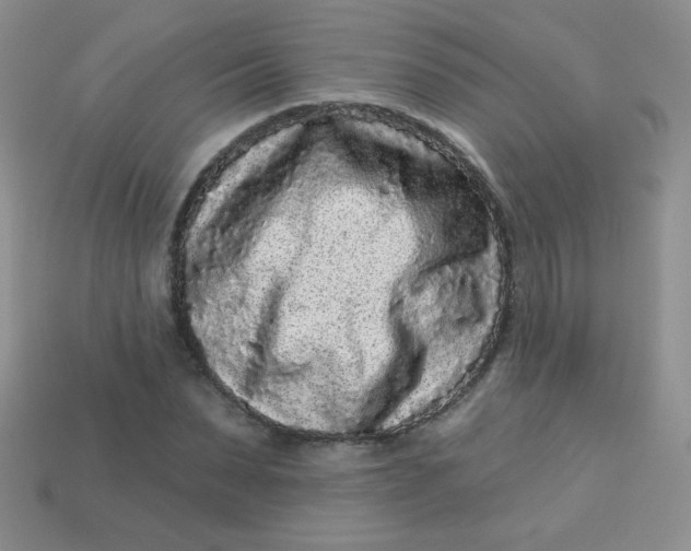 X0000113610879200910091539