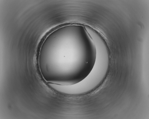 X0000113610880200910091539