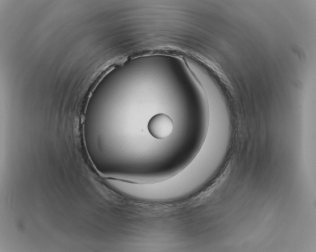 X0000113610881200910091539