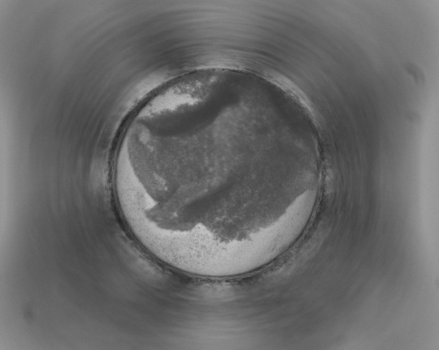 X0000113610882200910091539