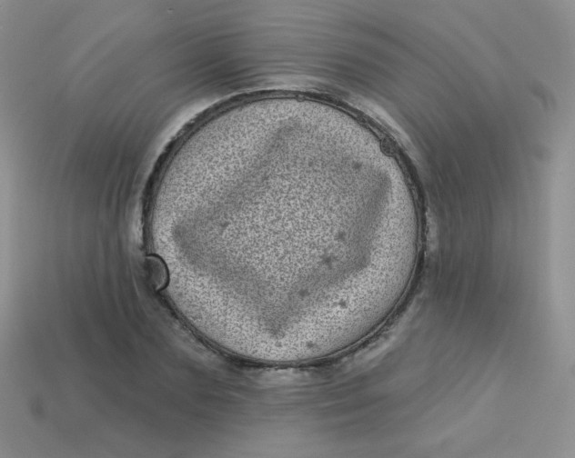 X0000113610883200910091539