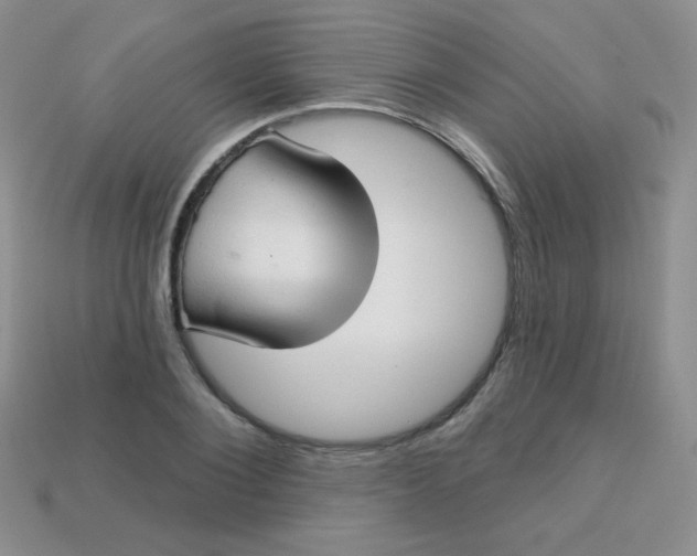 X0000113610884200910091539