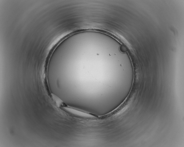 X0000113610885200910091539