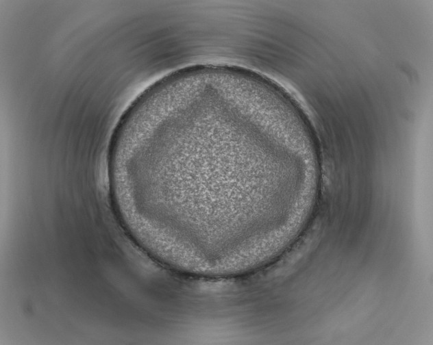 X0000113610887200910091539