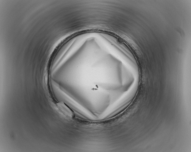 X0000113610888200910091539