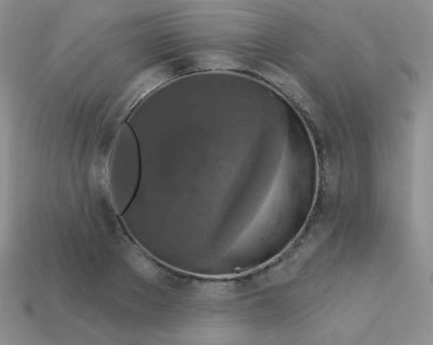 X0000113610889200910091539