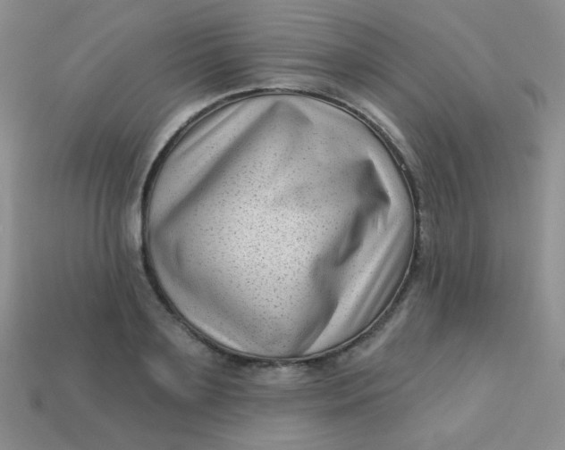 X0000113610891200910091539