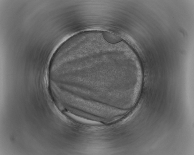 X0000113610892200910091539