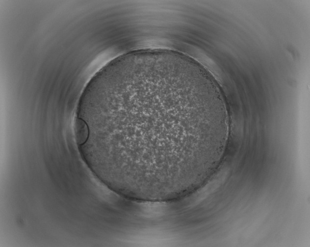 X0000113610893200910091539