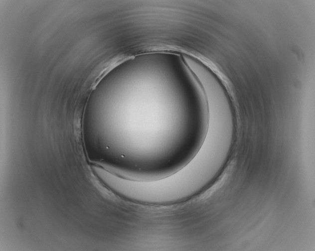 X0000113610897200910091539