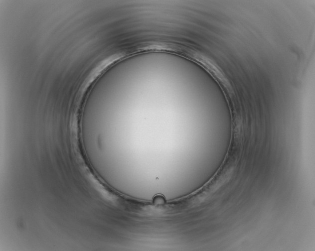 X0000113610898200910091539