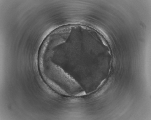 X0000113610899200910091539