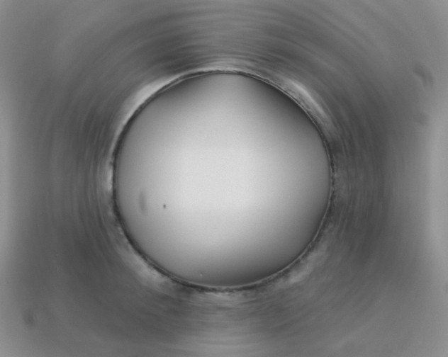 X0000113610900200910091539