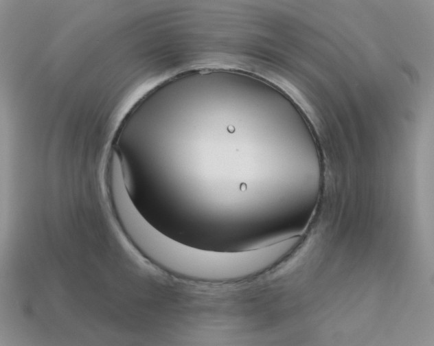 X0000113610901200910091539