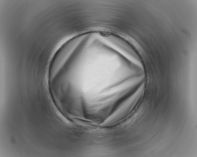 X0000113610902200910091539