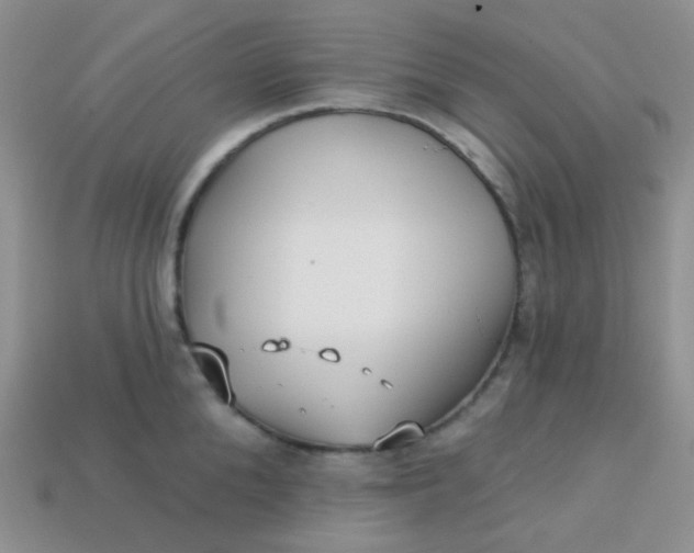 X0000113610904200910091539