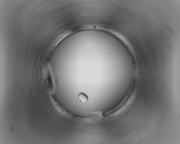 X0000113610905200910091539