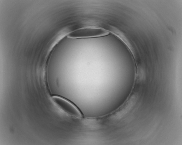 X0000113610909200910091539