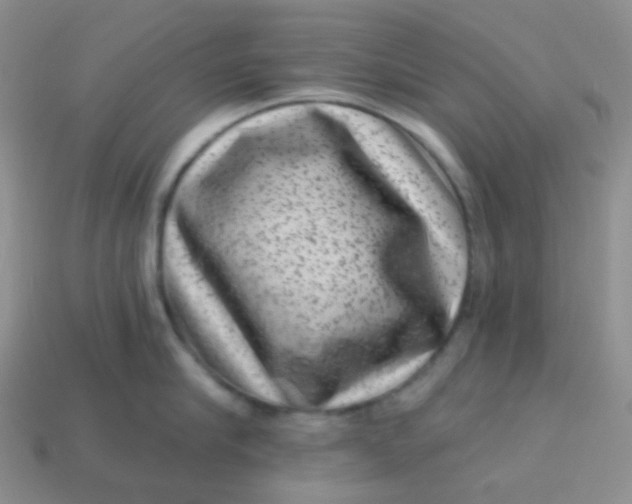 X0000113610910200910091539