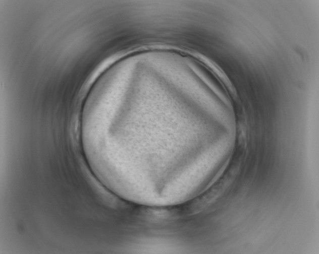 X0000113610911200910091539