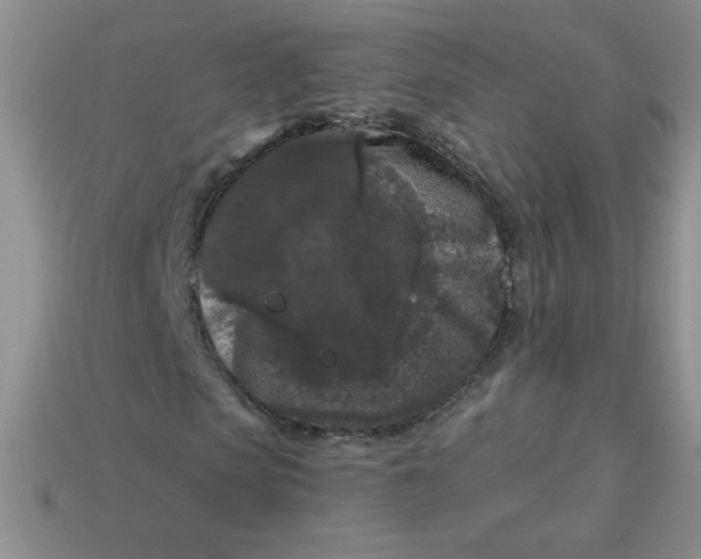 X0000113610913200910091538