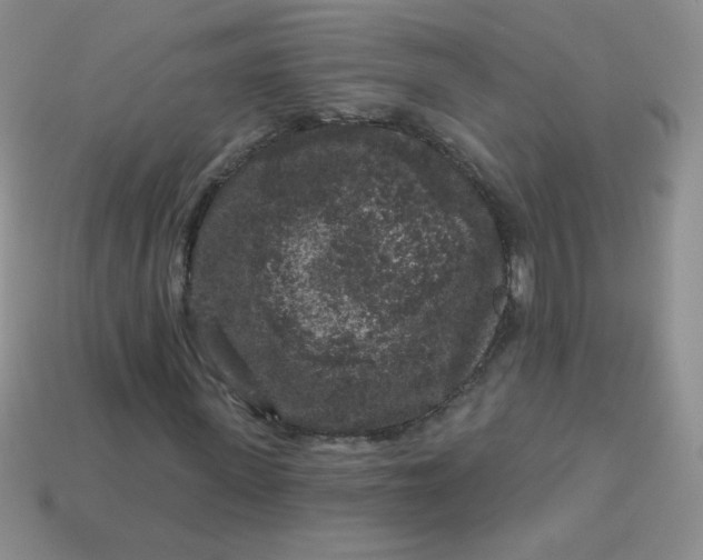 X0000113610915200910091538