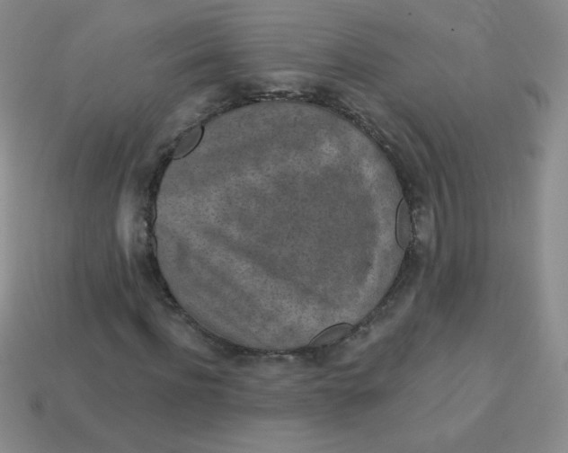 X0000113610916200910091538