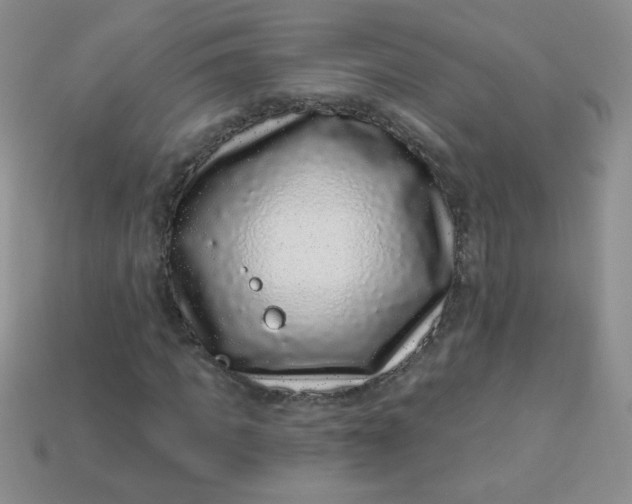 X0000113610917200910091538