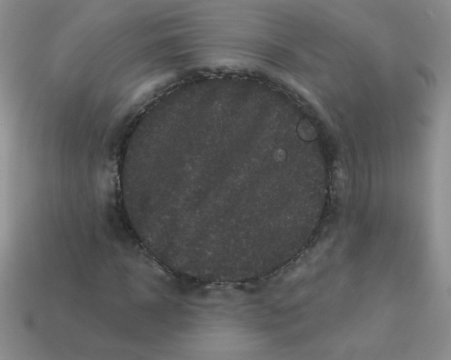 X0000113610918200910091538