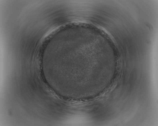 X0000113610919200910091538