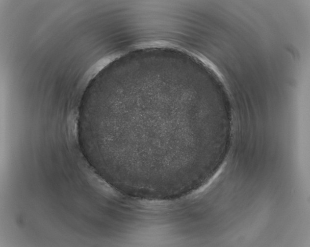 X0000113610921200910091538