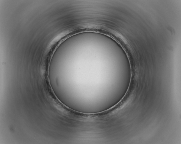 X0000113610922200910091538