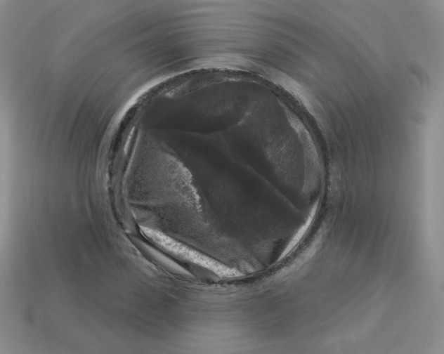 X0000113610923200910091539