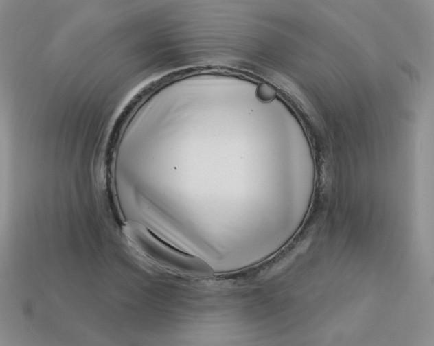 X0000113610924200910091539