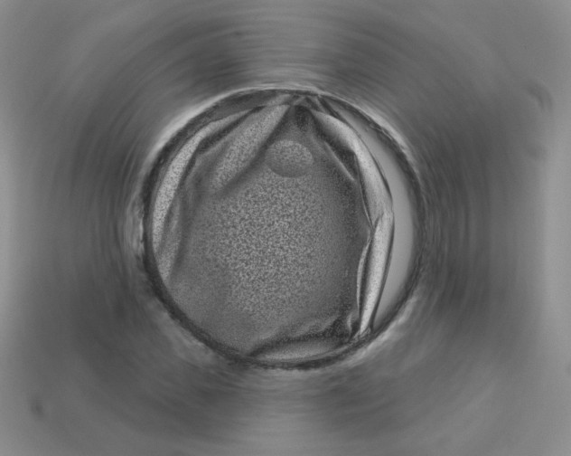 X0000113610925200910091539