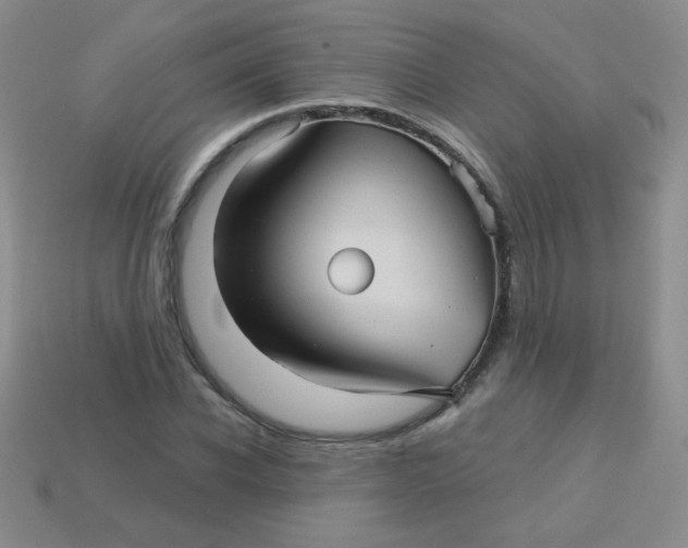 X0000113610926200910091539