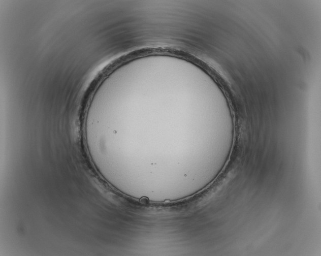 X0000113610927200910091539