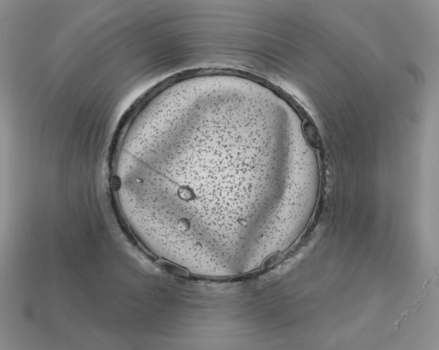 X0000113610928200910091539