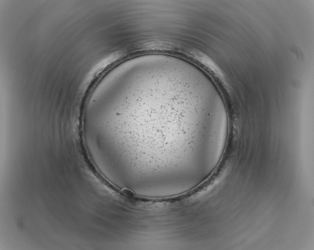 X0000113610930200910091539