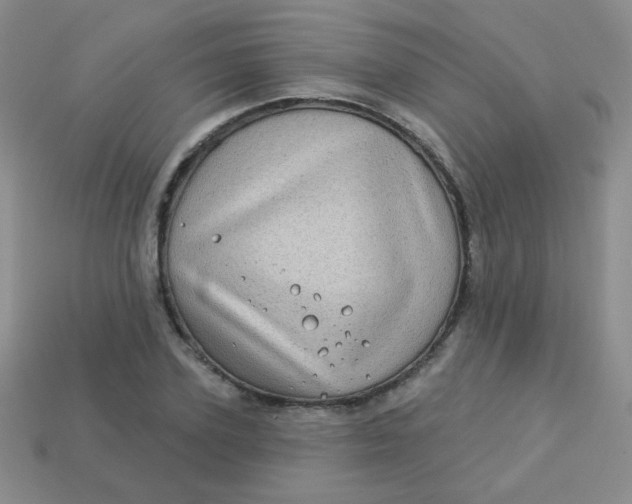 X0000113610931200910091539