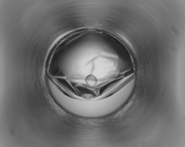 X0000113610932200910091539