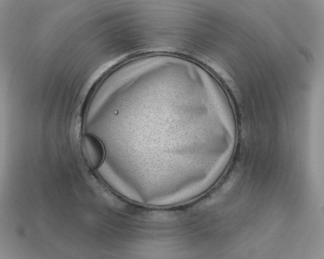 X0000113610933200910091539