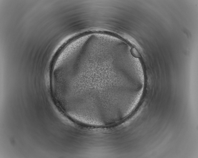 X0000113610934200910091539